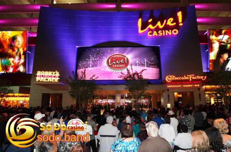 ON Live Casino